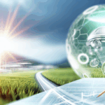 Kebakaran Hutan serta Lahan: Bahaya Yang Tidak Terlihat bagi Keanekaragaman Hayati dan Kesehatan Manusia Individu