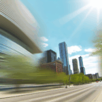 Keberadaan Menjaga Keberlangsungan Hutan Mangrove: Rahasia Eksistensi bagi Fauna Pesisir