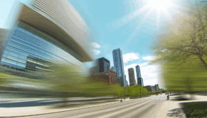 Pengaruh Penebangan hutan  pada Keanekaragaman Hayati: Apa saja yang bisa Bisa Kita Lakukan untuk Mengubah Arah?